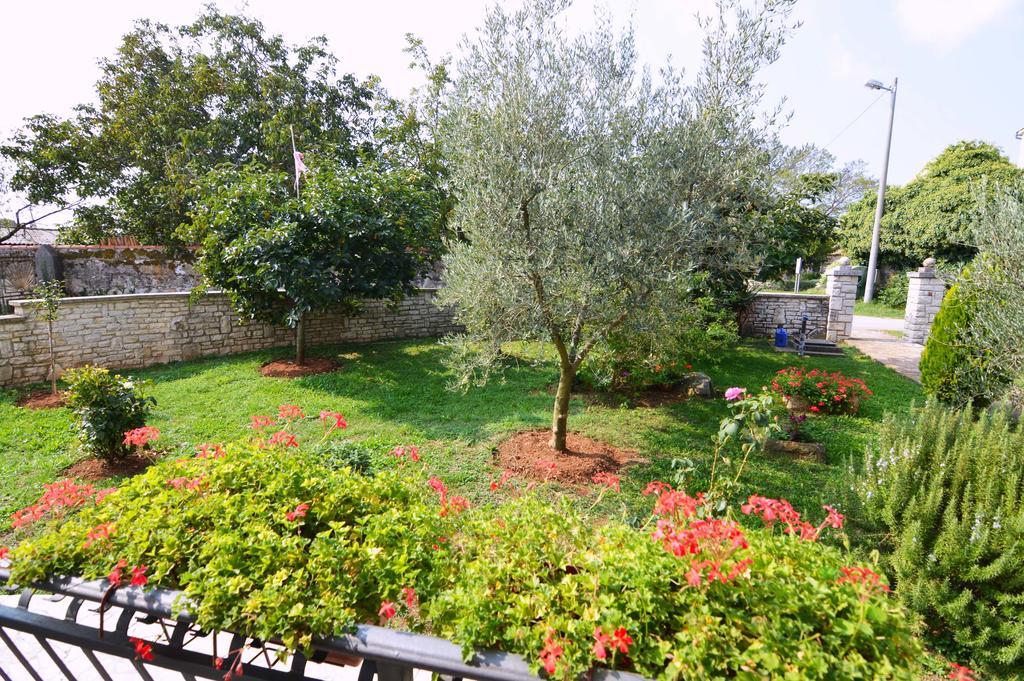 Garden Apartment Maria Vrsar Exterior photo